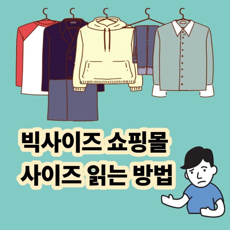 빅사이즈 한국쇼핑몰 사이즈 읽는 방법 쇼핑몰 옷
