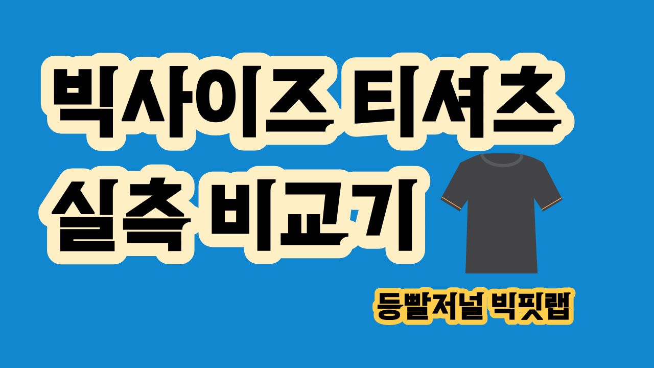 현재 잘 맞는 티셔츠와 구매하려는 티셔츠의 실측 사이즈를 비교하는 빅사이즈 티셔츠 실측 비교기