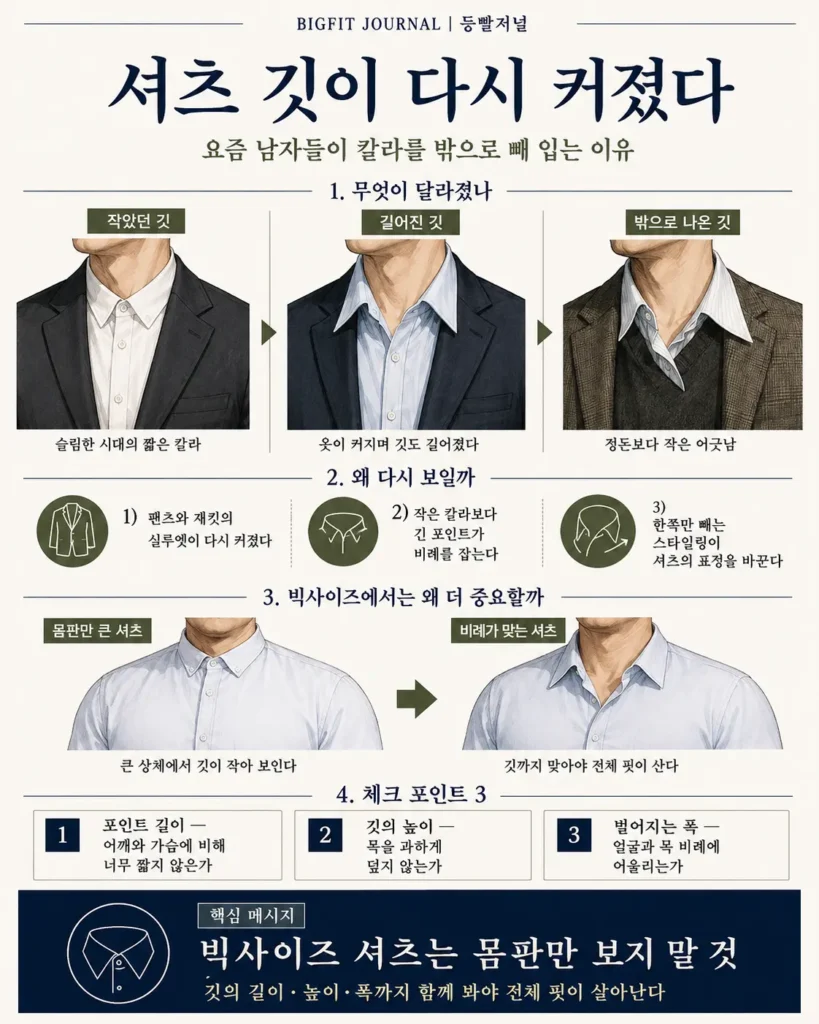 셔츠 깃 옷깃 칼라 커지는 체크포인트 등빨저널 인포그래픽